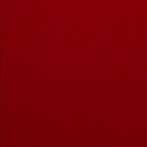 Meet your Posher, Bailey